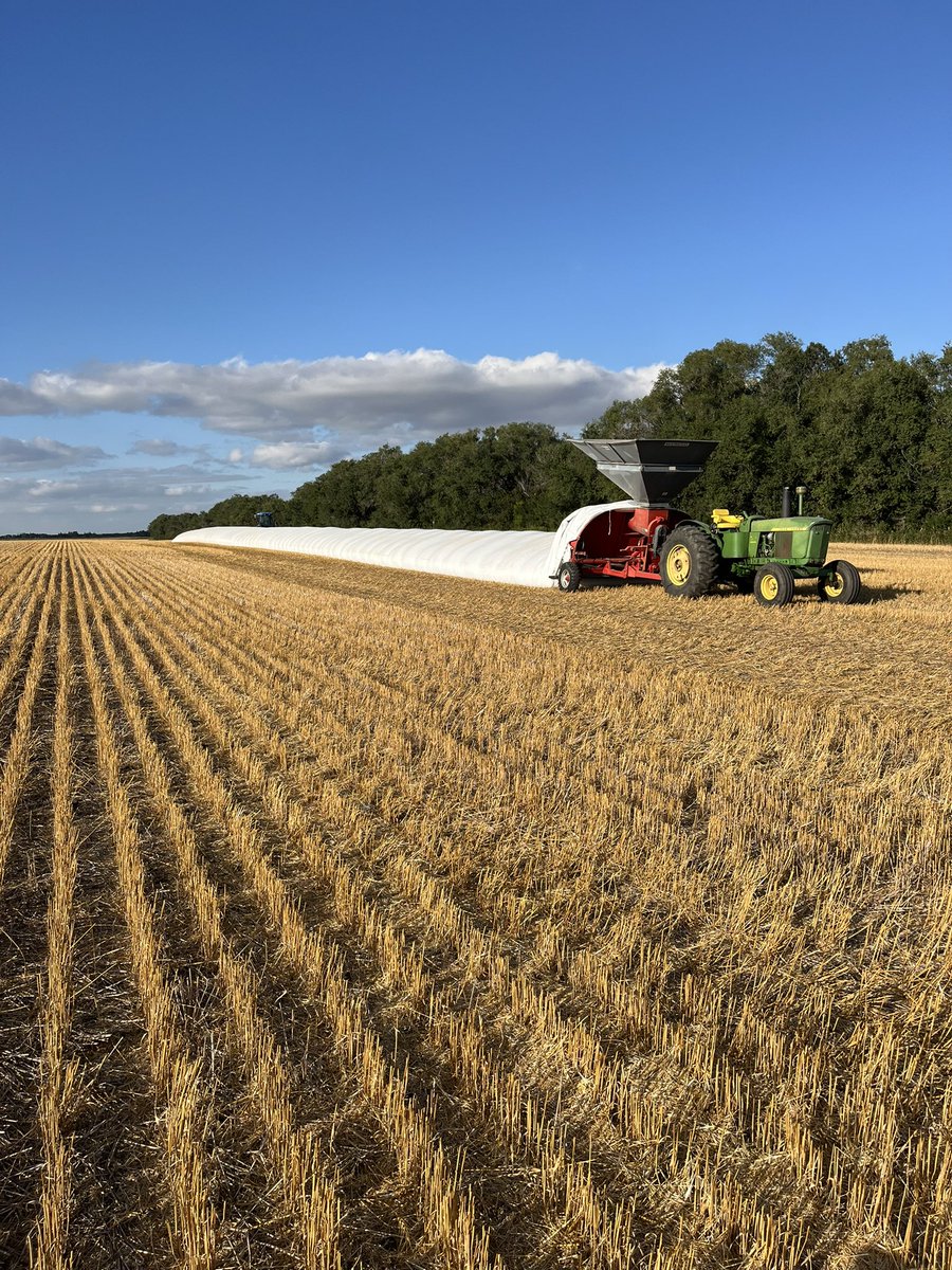 Lack of information, specifically export sales data, is costing western Canadian grain farmers millions. It’s obvious in real time looking at changes since harvest. <a href="/realagriculture/">RealAgriculture</a> <a href="/GrainShark/">Grain Shark 🦈</a> <a href="/GrainGrowers/">Grain Growers of Canada</a>