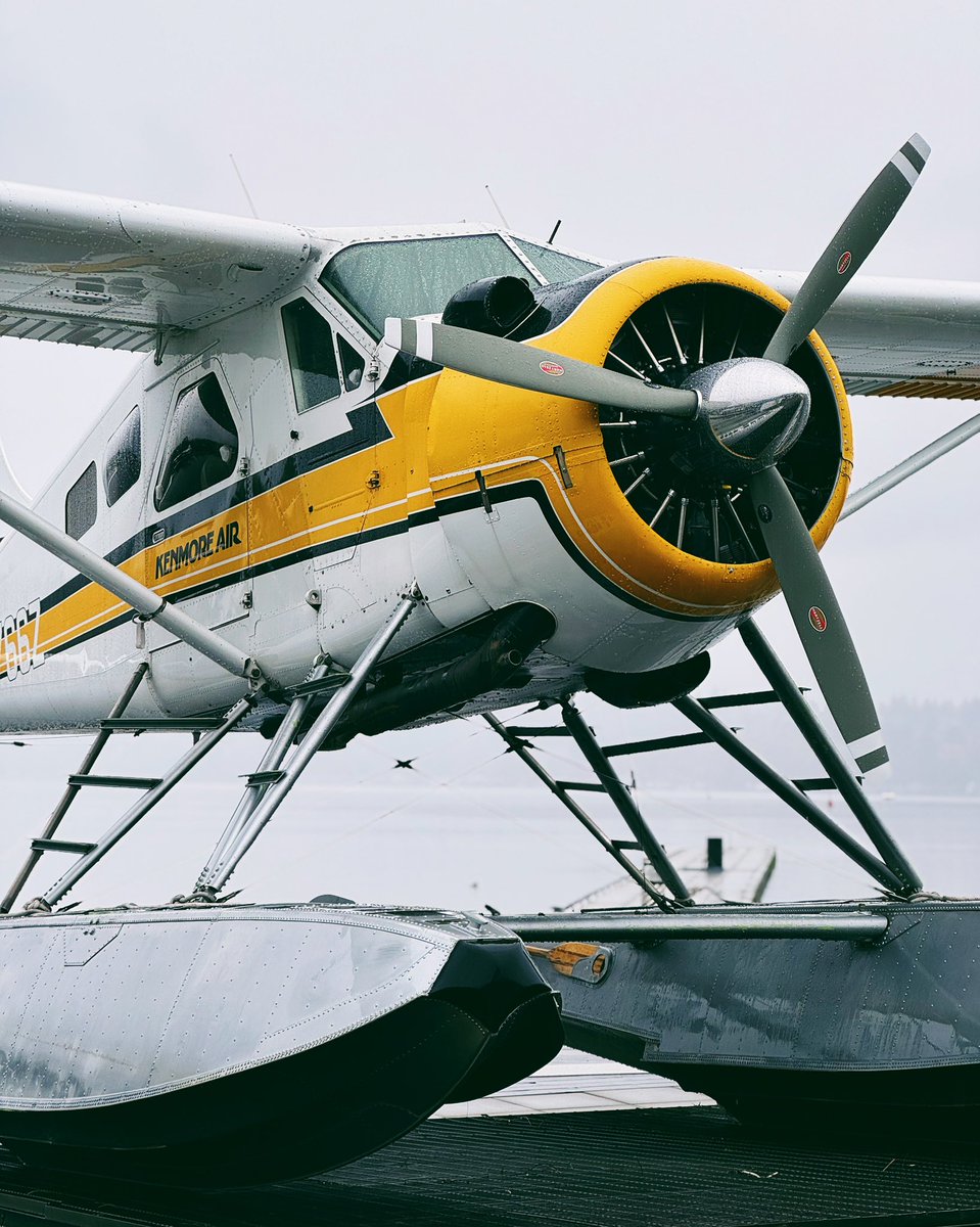 Even at rest, it means business.

#kenmoreair #seaplane #seattle #dehavilland #aviation