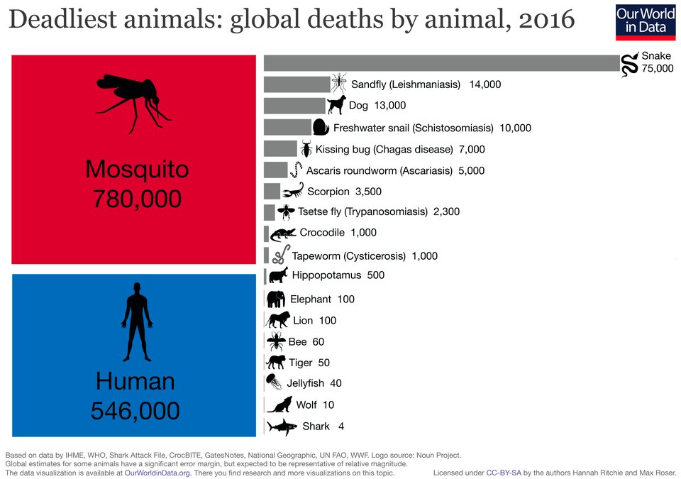 The mosquito holds the grim distinction of being humanity's most lethal animal. Its eradication would represent one of the greatest humanitarian victories, saving nearly one million lives from vector-borne diseases annually.