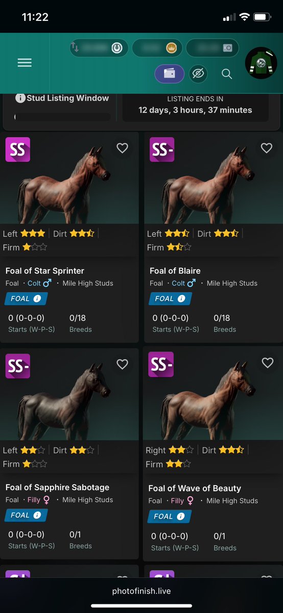 Very happy with my breeds this season. Hope everyone is having a good foals day and start to the new season.