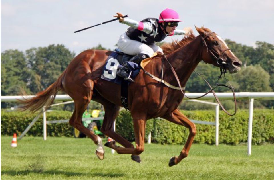 Anglo German Racing tweet media