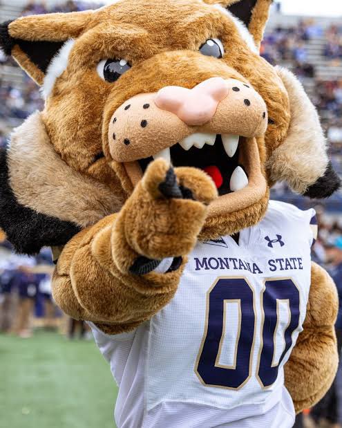 John Hurst tweet media