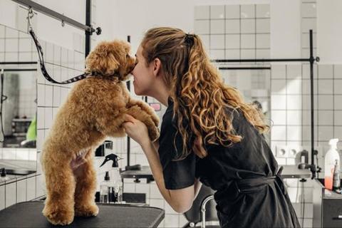 resonate_wealth's tweet image. Market data shows 2026 will be a breakout year for service-based local businesses. Here are five high-growth industries set to dominate North America next year. tinybfs.com/t/Y70yp7