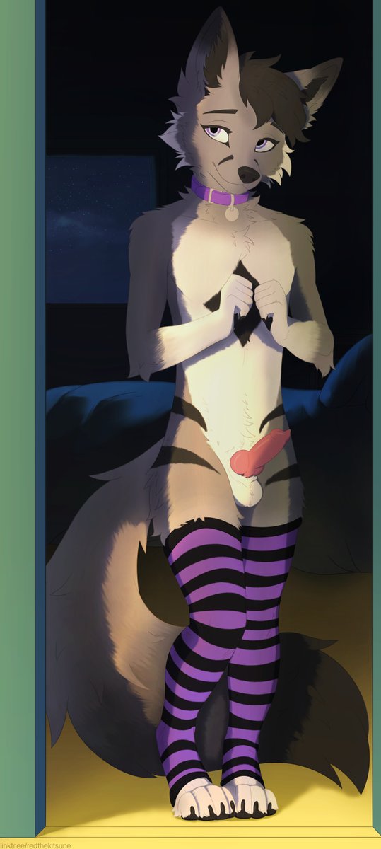 Horny Red 狐 tweet media