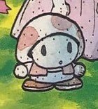BrunAmitie's tweet image. ik that&apos;s like, the point w/ his size... but omigosh look at how tiny toad looks here he&apos;s so freaking cute!!! 💕💕💕