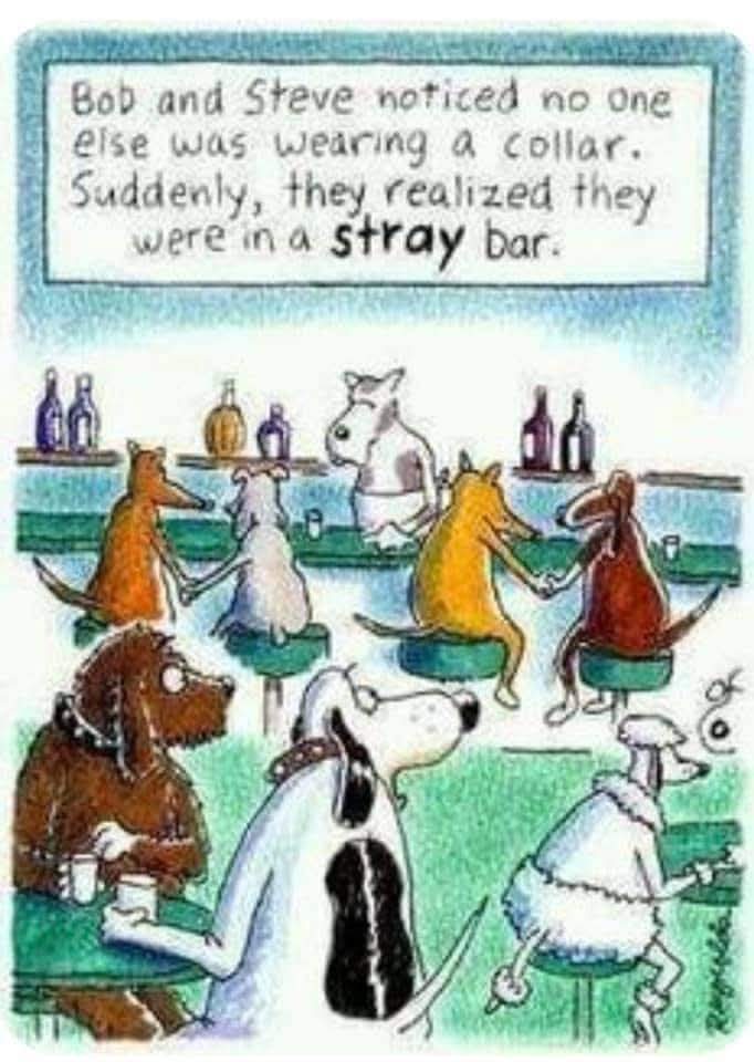 Jokerswild (@jokerswilduk) on Twitter photo 