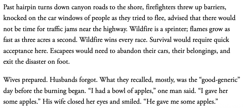 I've been trying to read these two paragraphs from the Nuzzi excerpt for at least five minutes and I need someone else to confirm to me that I didn't have a little stroke along the way.