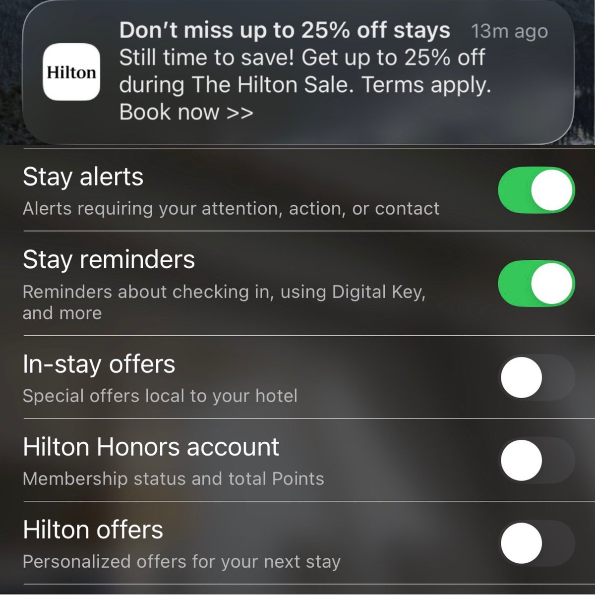 Steve Ferguson tweet media