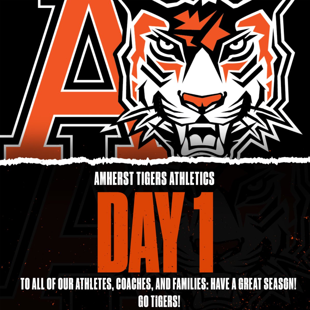 Winter is here!!! Go Tigers!!