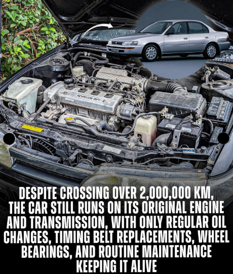 Wakaba_Cities & EVs🌇🛩🚍🚛🛻⚡ tweet media