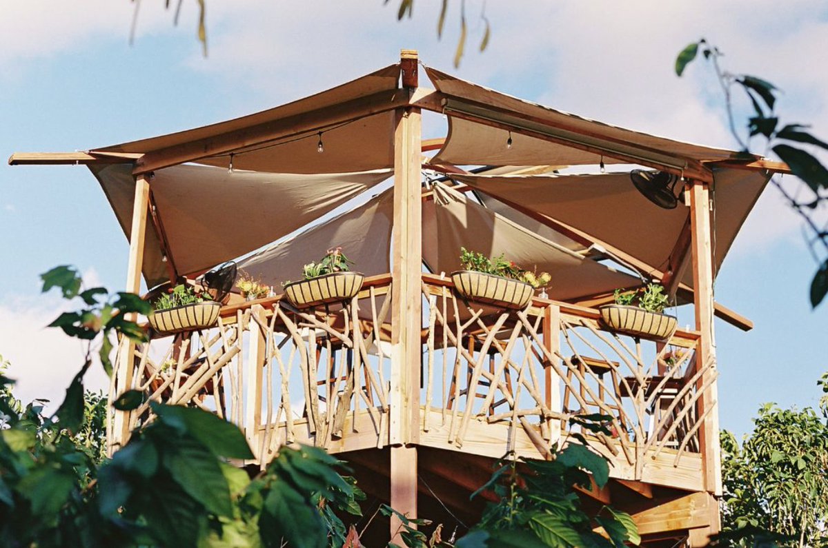 HAWAIIMagazine's tweet photo. Discover how cacao grows, sample Maui-made chocolate and enjoy a scenic lunch overlooking the orchards.

https://t.co/tx4UvrgohD https://t.co/dP26AZPbob