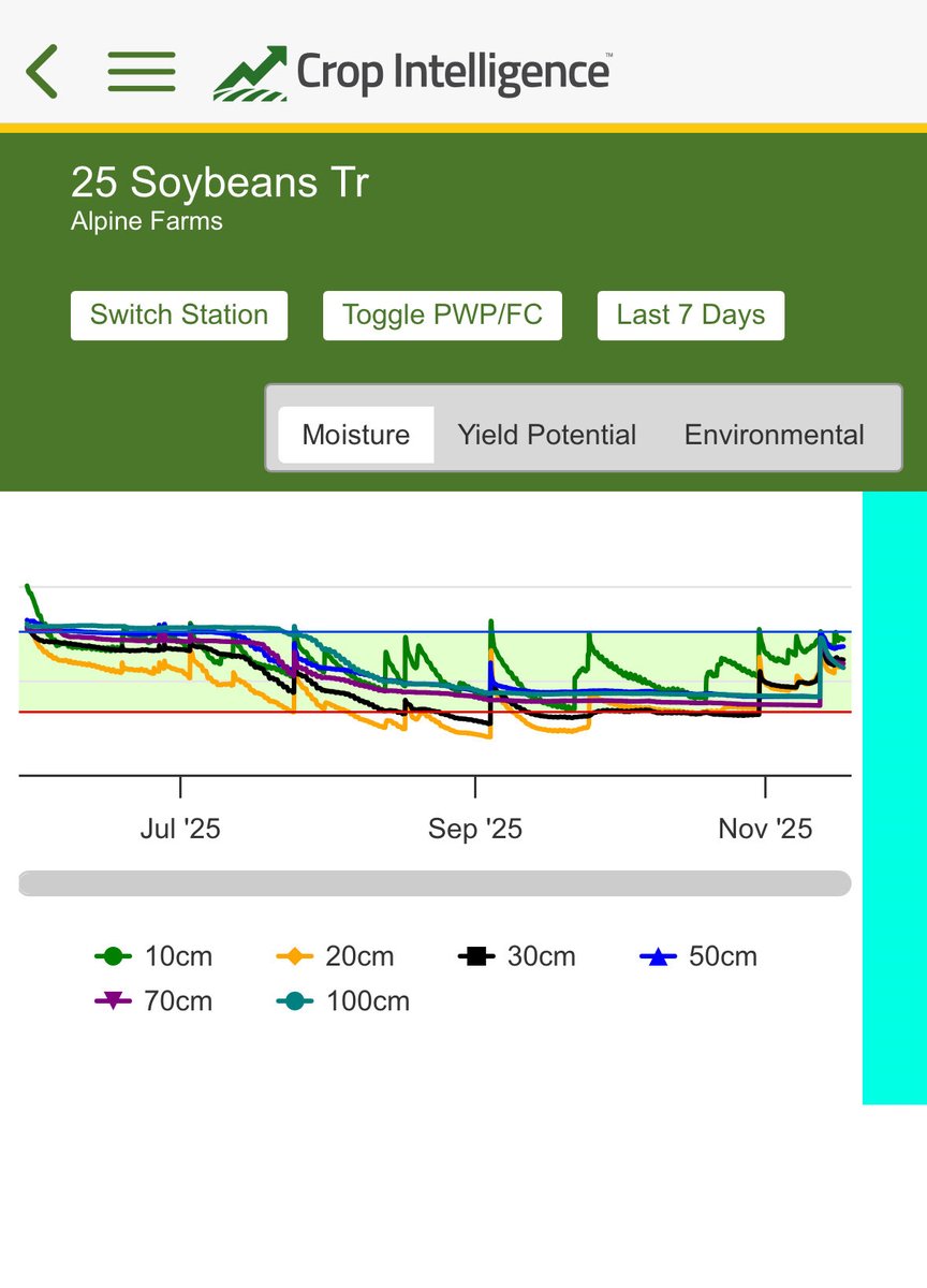 Ag_McQueen tweet media