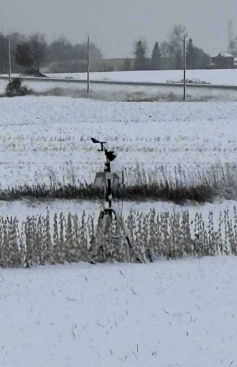 Ag_McQueen tweet media