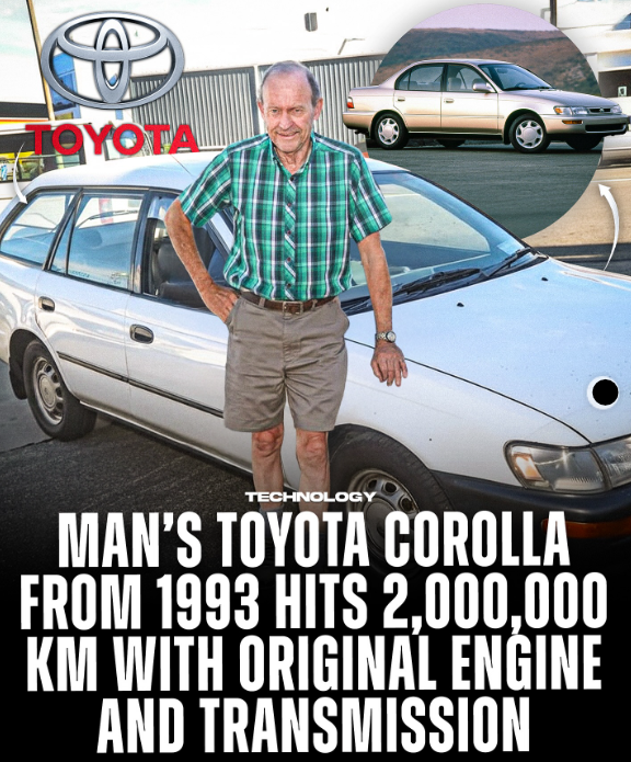 Wakaba_Cities & EVs🌇🛩🚍🚛🛻⚡ tweet media