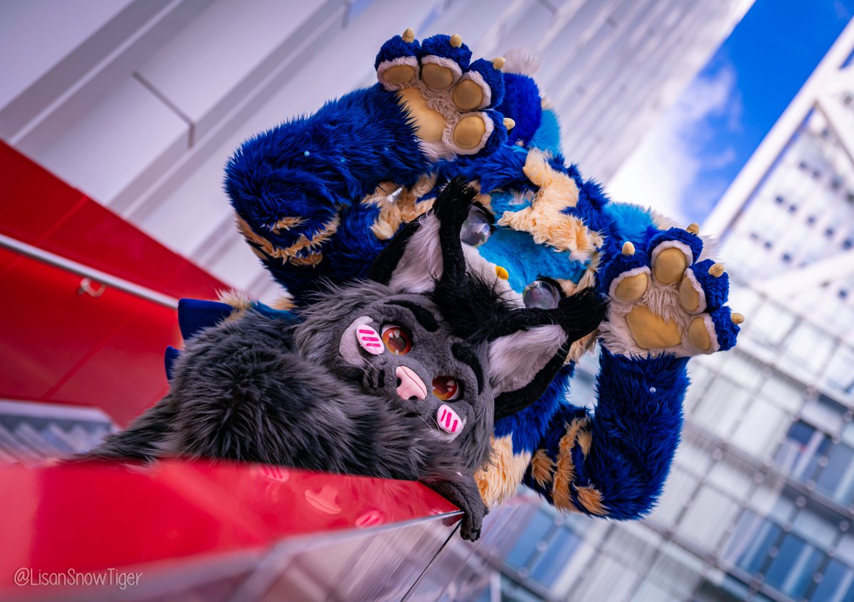 Being... Seli together! ✨ :3c 
With the adorable <a href="/SeliChat/">💙 Seli ✨🔜 Canthrofur</a> 

#FBL13
📷<a href="/LisanSnowTiger/">Lisan 🔜 NFC 🇸🇪</a>