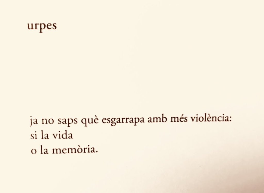 Anna Garcia Garay, Dietari del buit.