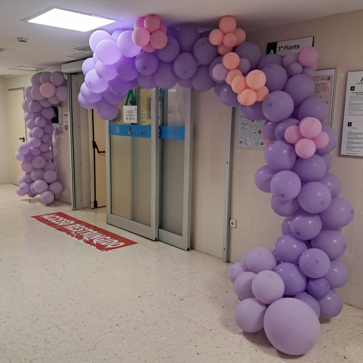 Honramos a quienes luchan, a quienes acompañan y a quienes cuidan.
Hoy y siempre, juntos por la prematuridad.

#DíaMundialDelPrematuro #Prematuros #Neonatología #PequeñosGigantes #CuidadoNeonatal #UnidadDeNeonatología