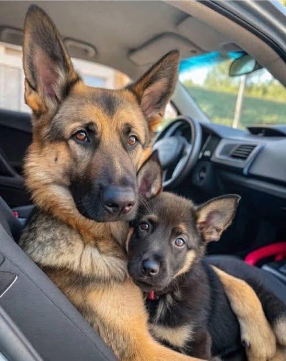 Can you Give a heart for me? 💖