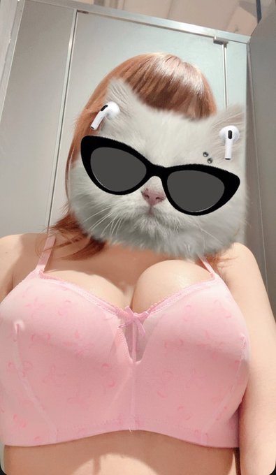 หอมๆ
fmt69.com/4/9246656