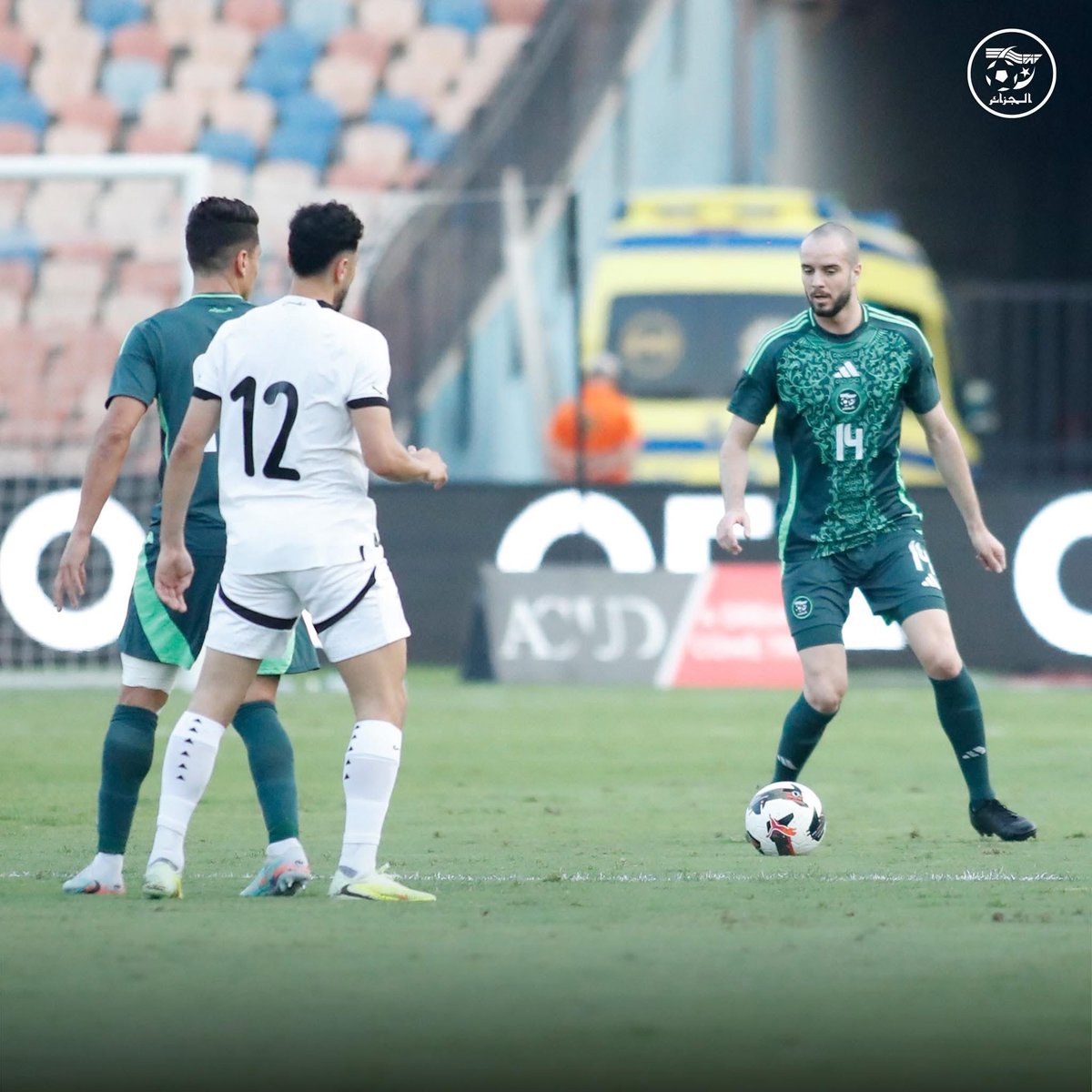 Ichem djerbah tweet media