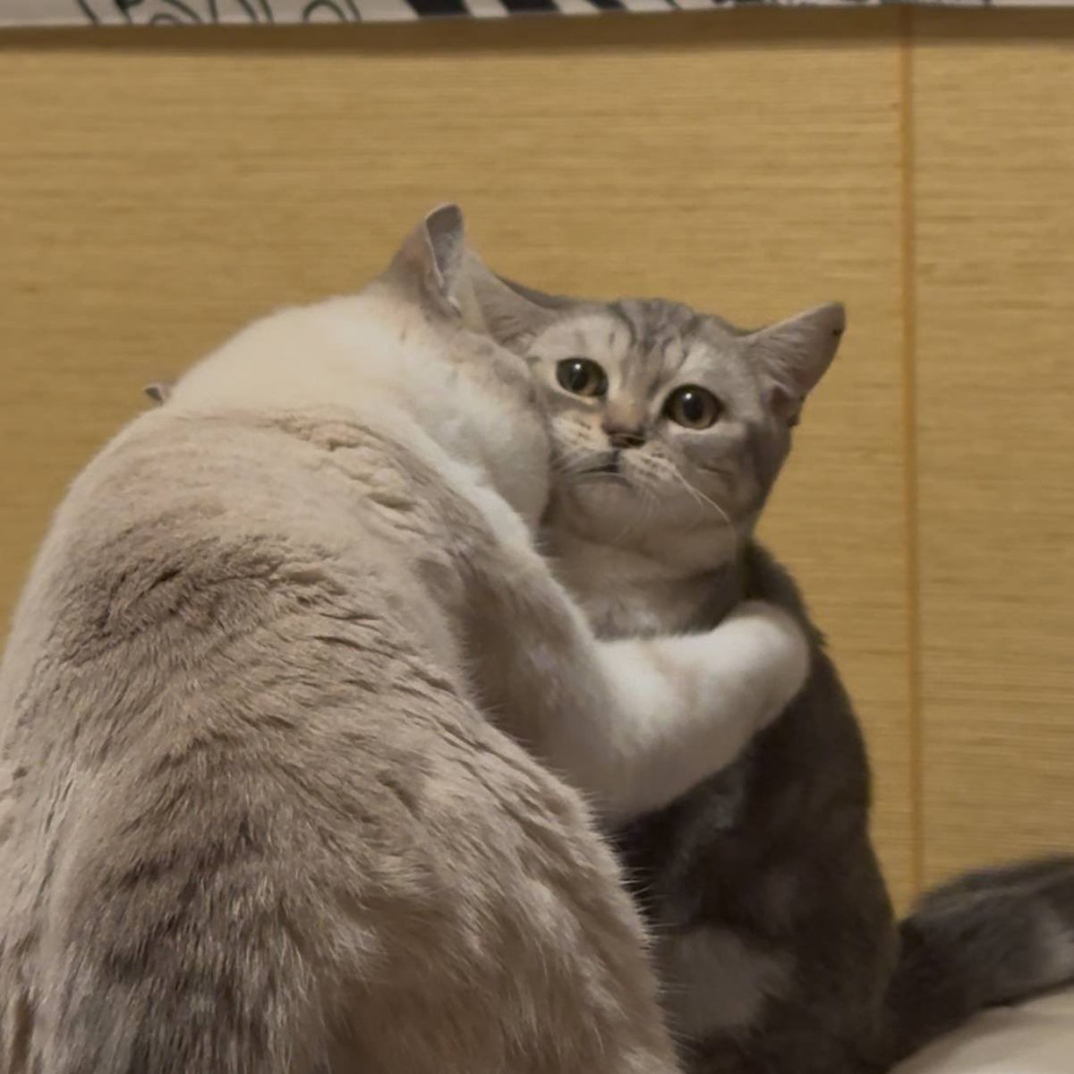 Вечер вкус💅 tweet media