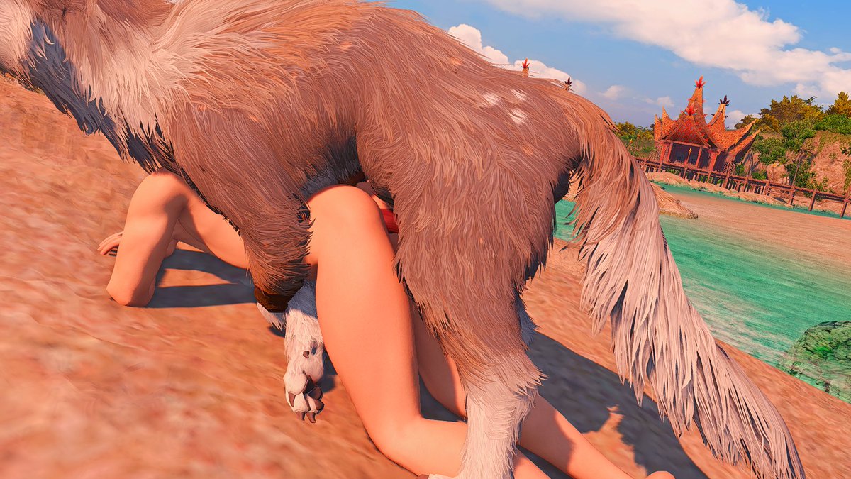AsianCatboy's tweet photo. The good boy likes watching the sunrise while breeding my feline boyhole. I can't deny him both of these things, even knowing how risky it is doing it on a beach.

#ff14nsfw | #ff14lewd | #ffxivnsfw | #ffxivlewd | #beastiality https://t.co/bv9ZZgV6qP