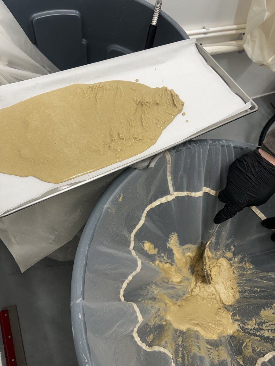 Sour Tangie in tha house!