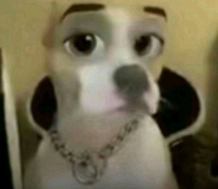 GettingUnalived's tweet image. oomf put actual porn on my tl while i&apos;m in public