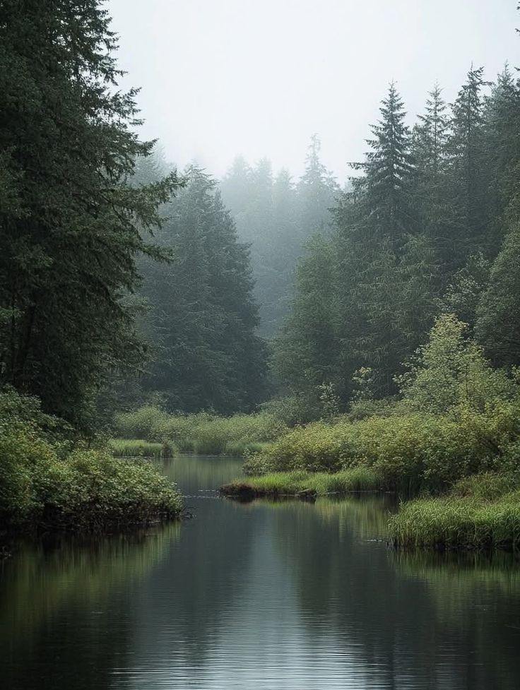 elemmiressoul's tweet image. peaceful life.