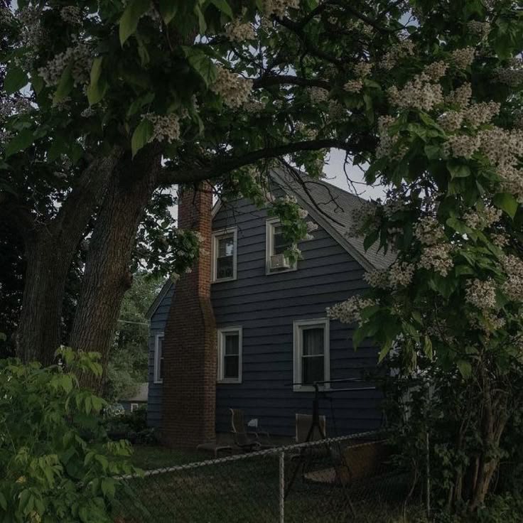 elemmiressoul's tweet image. peaceful life.