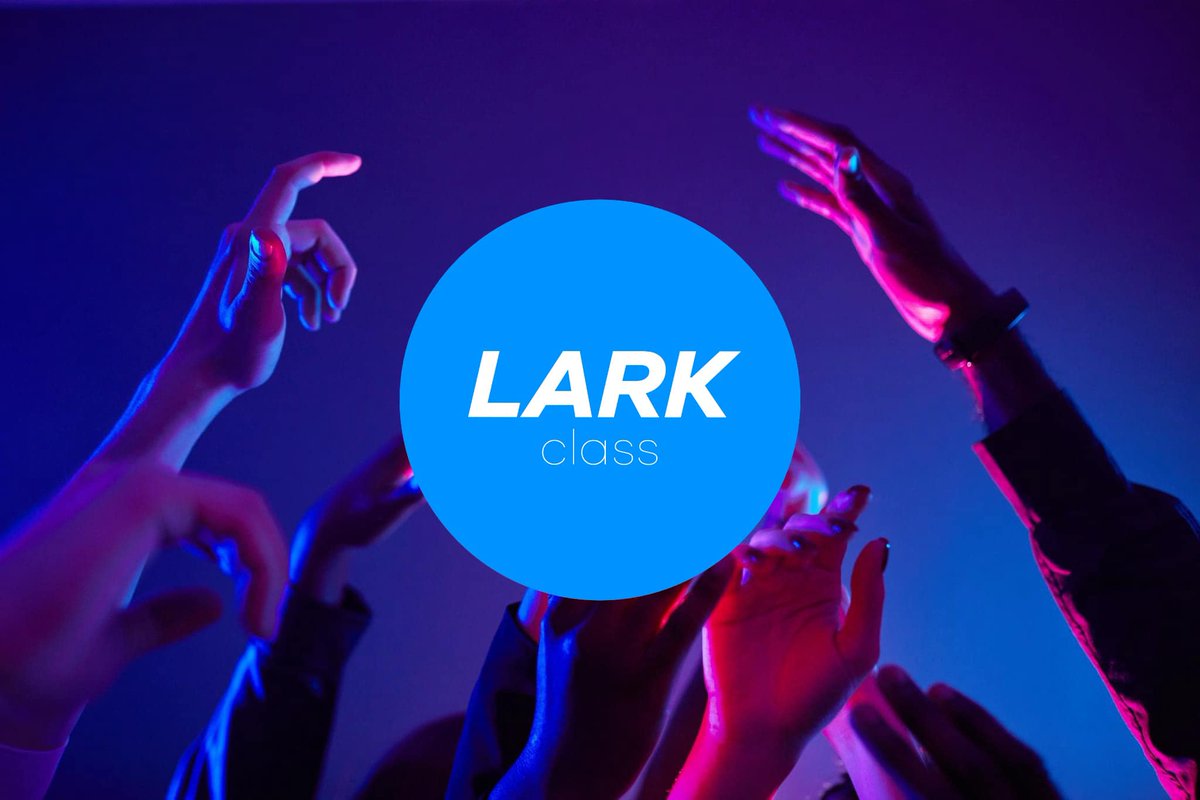 larksailing tweet media