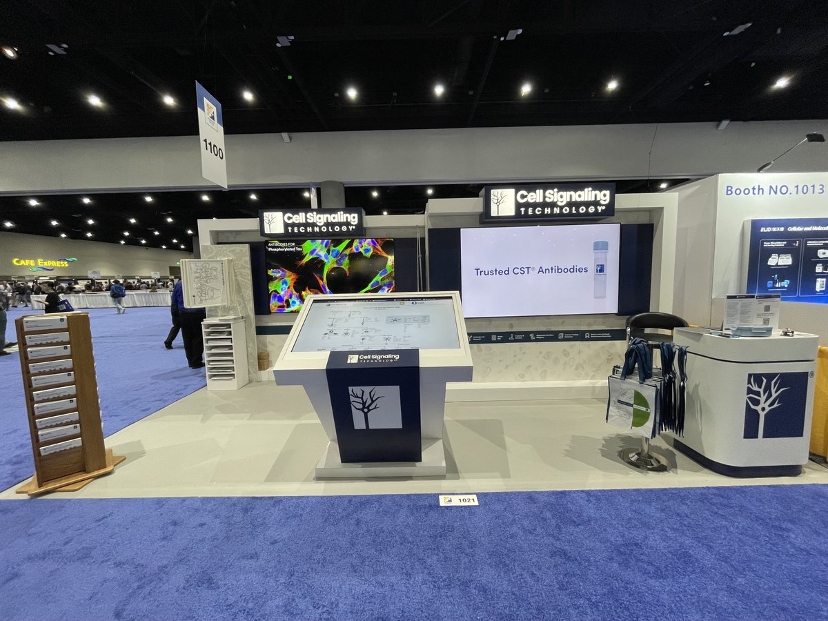 CellSignal's tweet image. Visit us at booth #1021 here at #SfN25! Our team can’t wait to chat with you about your research, answer your questions, and share tailored solutions to help advance your work.

Plus, check out our poster sessions this week ⬇️
hubs.ly/Q03TBRLl0