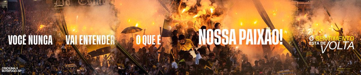 “VOCÊ NUNCA VAI ENTENDER O QUE É NOSSA PAIXÃO” 🐯🔥
