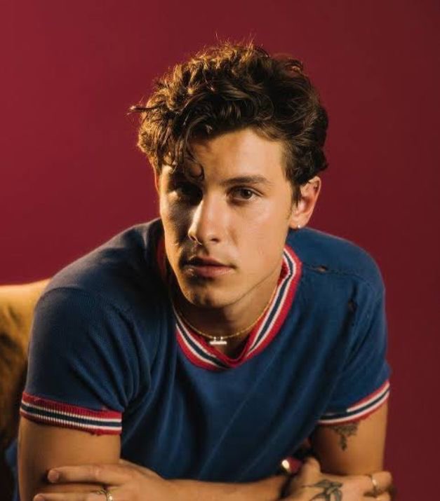 acervoshwn's tweet image. INSURPORTÁVEL! Shawn Mendes ainda está no Brasil e possivelmente gravando um documentário.