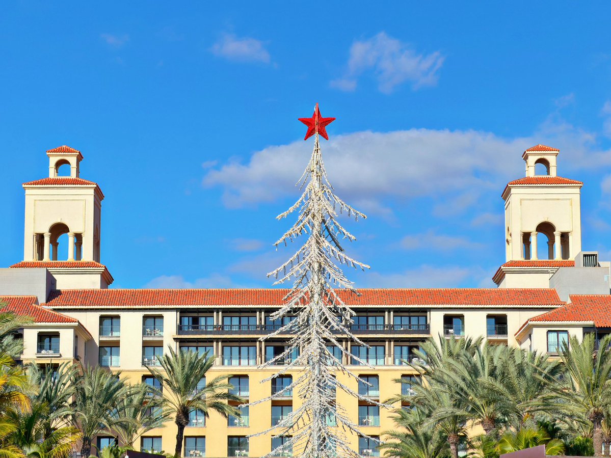 mycanaryislands's tweet image. Christmas Atmosphere at Hotel Costa Meloneras🎄

#Christmas #navidad #meta #dulces #special #grancanaria #maspalomas #canarias #españa #mycanaryislands #fblifestyle #lopesancostameloneras