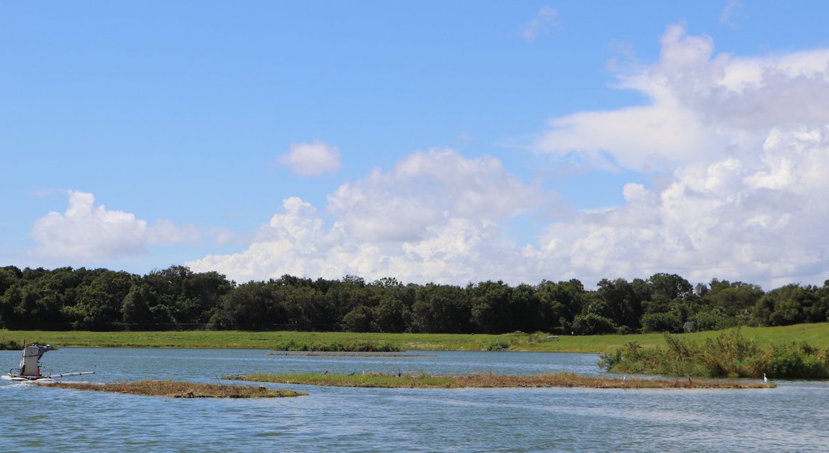 BeematsWetlands's tweet image. Recently harvested #Beemats will soon burst back with vibrant green growth - working nonstop to pull #nitrogen &amp;amp; #phosphorus from the #water, leaving clean water to flow into #indianriverlagoon.

#cleanwater #environmentalengineering #environmentalscience #savethelagoon