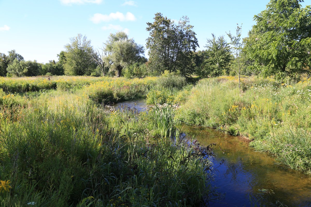 ConservHalton's tweet image. Did you know? Conservation Halton works together with @ONheritage to further the conservation and stewardship of natural resources in our watersheds. The Trust protects Ontario’s significant heritage places holistically, considering structures, cultural landscapes, districts,…