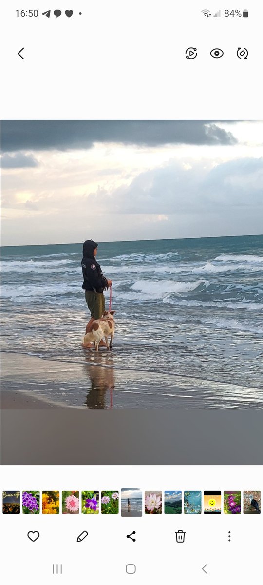 Maria Lea tweet media