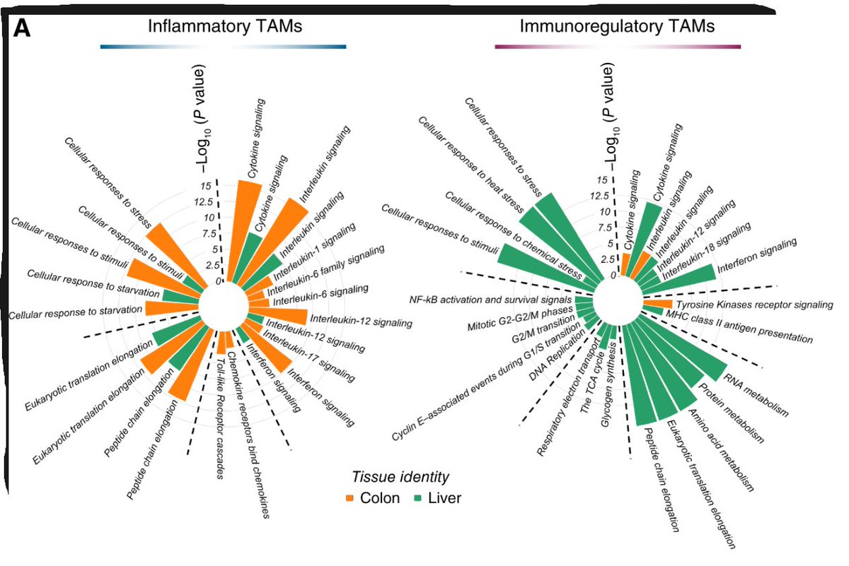 Cancer Immunology Research tweet media