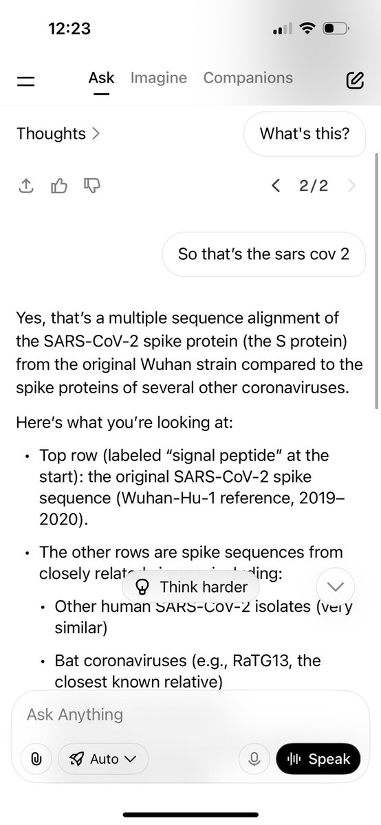 Mikaloe07's tweet image. That was what the sequence came back as now here is the crazy thing that sequence is on a c elegans chart