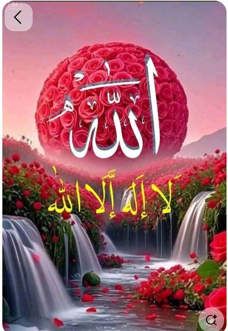 لا اله الا الله 💚💚💚
لا اله الا الله 💚💚💚
لا اله الا الله 💚💚💚
