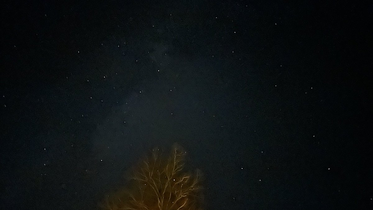 Five degrees in Norfolk and the sky has gone into full frost panic. The tree is nearly bare now - just boney stick-fingers reaching up to touch the stars.