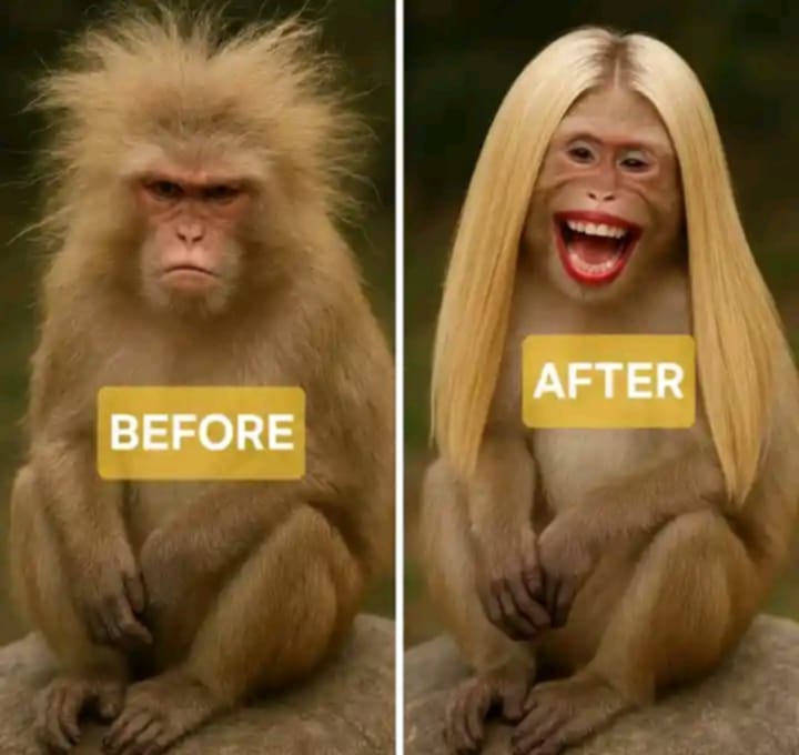 ForPbb25's tweet image. hahaha  🤣🤣🤣