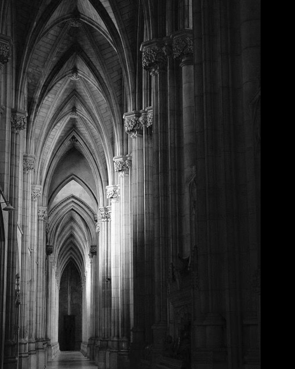 Nov ✨️🎠 tweet media