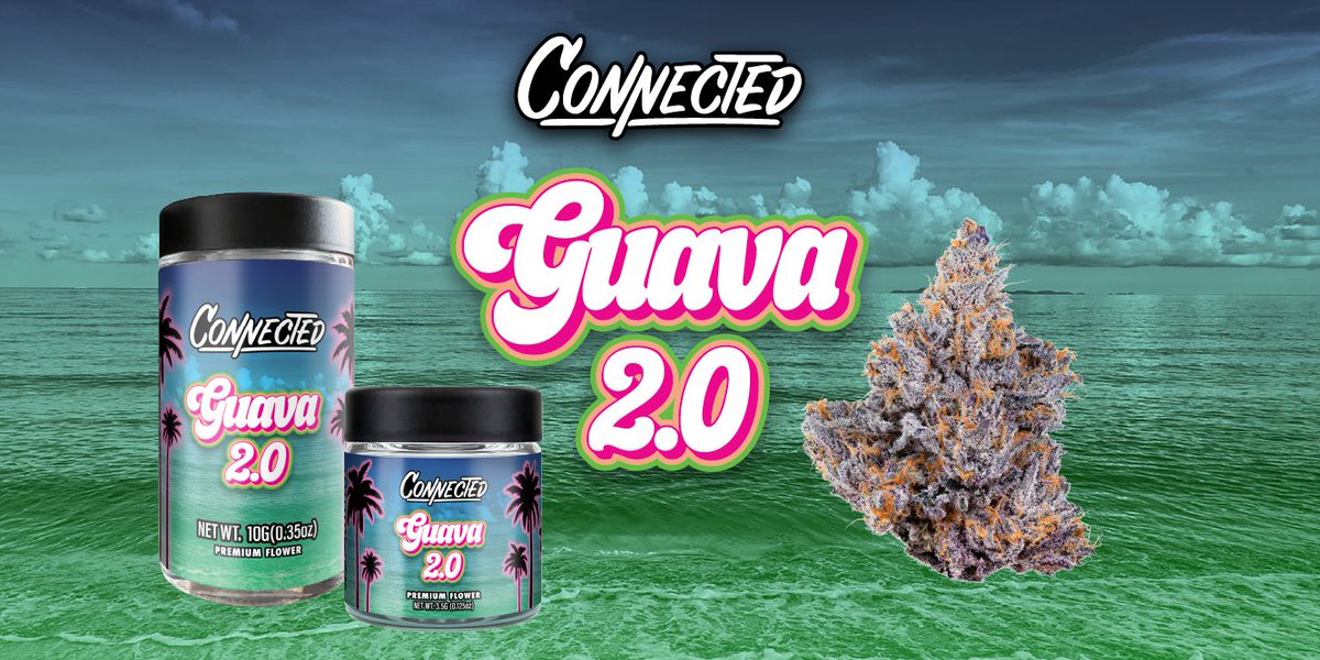 theconnectedca's tweet image. It&apos;s back this Friday 🌴🦩