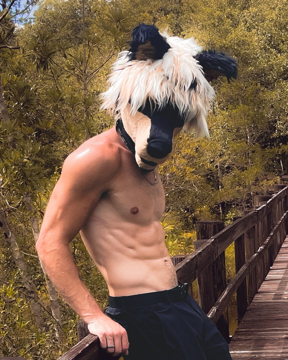 would you join me for a board(walk) :p
📸 <a href="/DogMutt71/">Chief</a> 
#furry #furries #fursuit