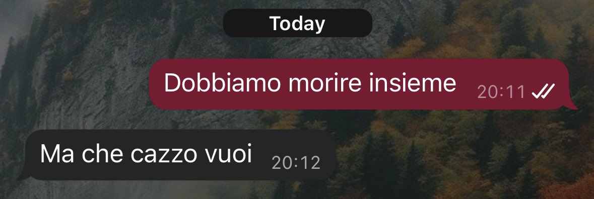 mio fratello non è d’accordo