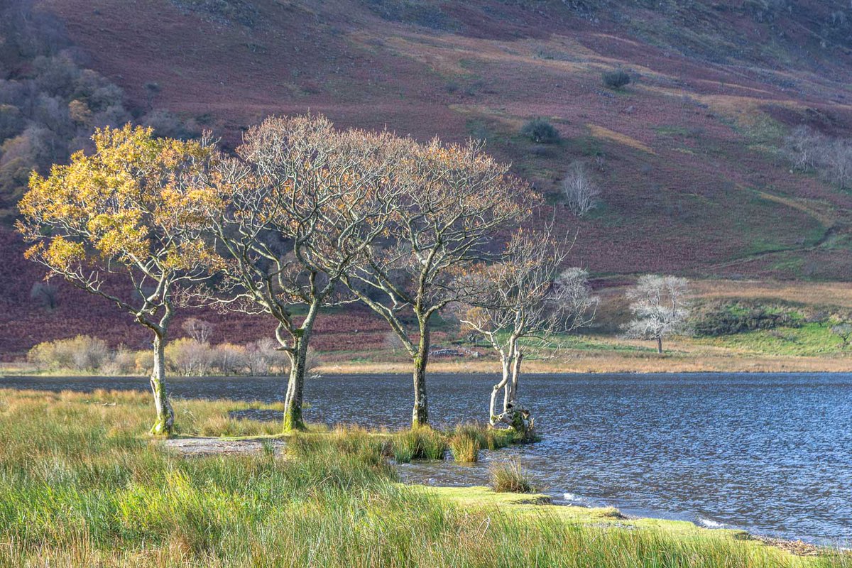 andrewswalks's tweet image. Crummock Water #LakeDistrict