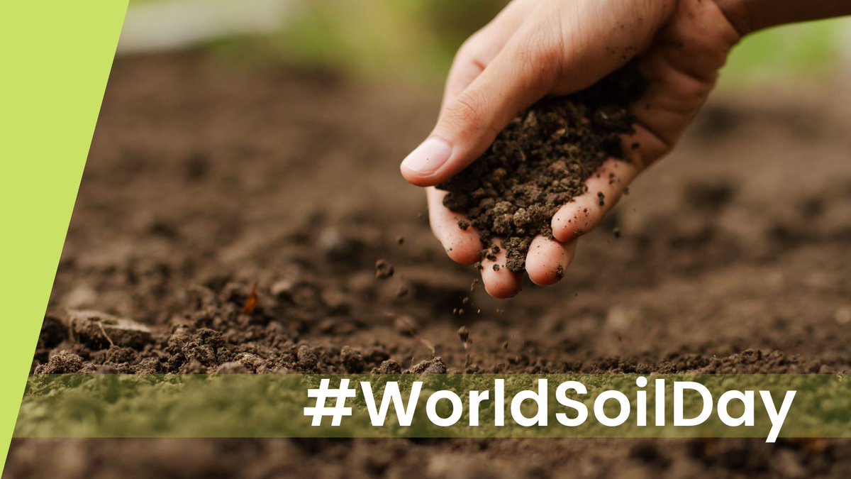Healthy soil = a sustainable future! 🌱
This #WorldSoilDay, let’s protect the foundation of life on Earth. At BCC, we’re restoring and enriching soils for food, climate and biodiversity.
👉 Join us: biologicalcarbon.ca

#SoilHealth #ClimateAction