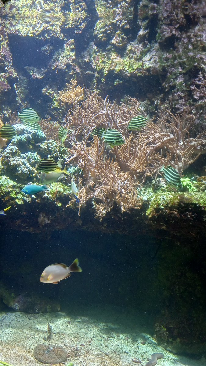 Samprdc's tweet image. Résumé du week-end avec copain